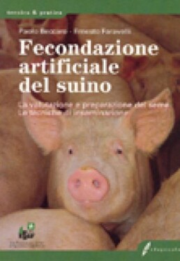 Fecondazione artificiale suino 13384 58 uai