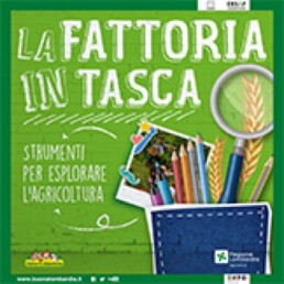 Lafattoriaintasca 1 13384 1446 uai