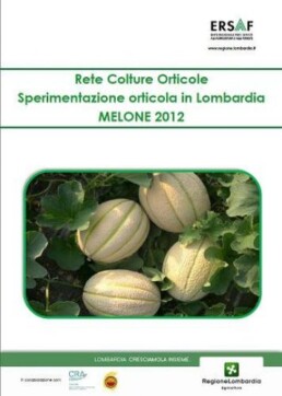MELONE COP 13384 796 uai