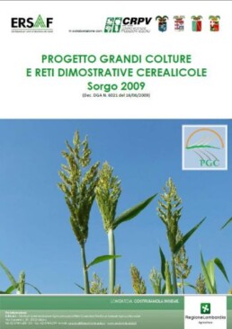 SORGO.2009 COP 13384 639 uai