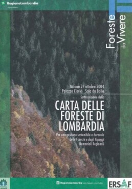 Carta delle foreste 13384 164 uai