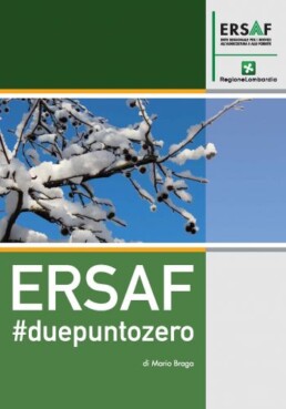 Copertina web 13384 801 uai