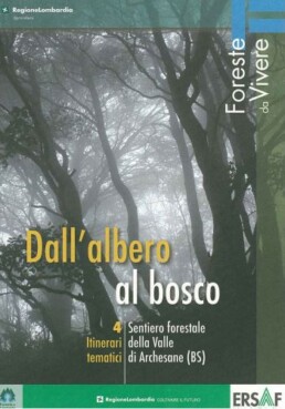 Dallalbero al bosco 13384 147 uai