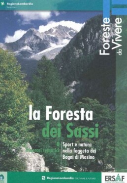 Foresta dei sassi 13384 158 uai