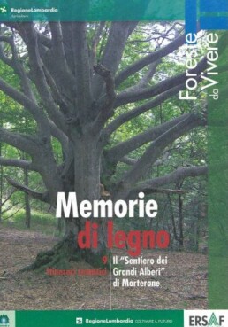 Memorie di legno 13384 159 uai