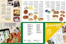 Pieghevole FORMAGGI 2 13384 1439 1 uai