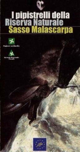 Pipistrelli malascarpa 13384 261 uai
