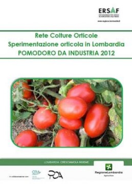 POMODORO COP 13384 812d88c uai