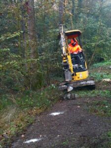 Rinasce il bosco al Parco di Monza