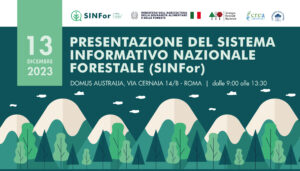 Locandina SINfor
