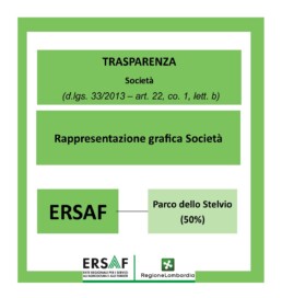 Rappresentazione grafica Societa uai
