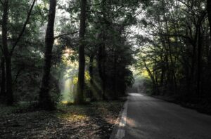 Una strada nella campagnattorno ad Abbiategrasso. Foto di mick de paola unsplash