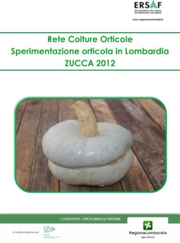 SOL 2012 ZUCCA scaled uai