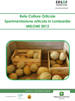 SOL 2013 MELONE scaled uai