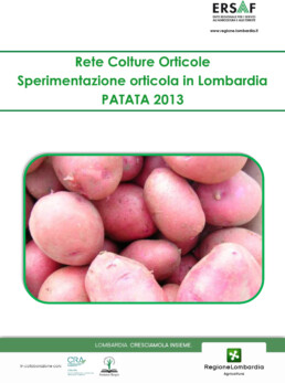 SOL 2013 PATATA scaled uai