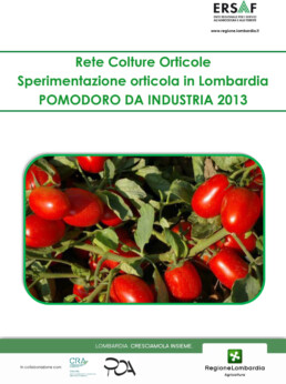 SOL 2013 POMODORO INDUSTRIA 2013 scaled uai