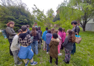 La piastra di Sondrio educazione ambientale 2
