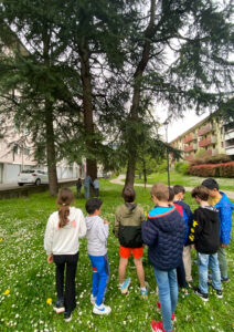 La piastra di Sondrio educazione ambientale 2