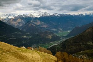Marco forno x8TCrndB1vU unsplash