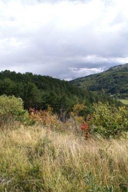RN Monte Alpe panorama foto Naturtecnica scaled uai