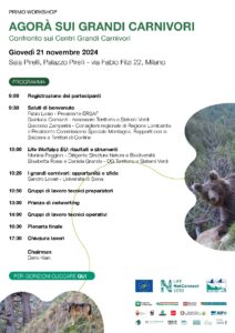 Agora sui grandi carnivori
