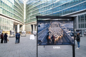 Scatti della mostra del pastoralismo con foto di Carlo Meazza