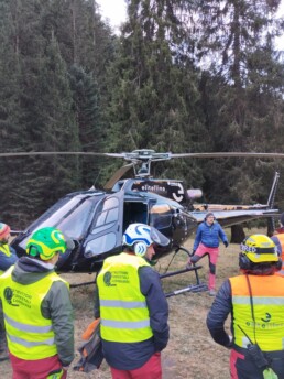Corso di formazione per operai forestali2 scaled uai