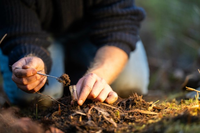 Mani di ricercatrice che prende un campione di suolo da un campo