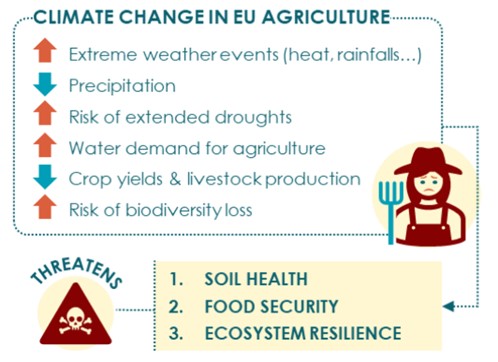 Infografica su effetti cambiamento climatico in agricoltura