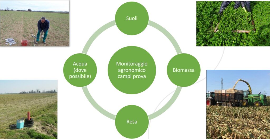 Monitoraggio agronomico