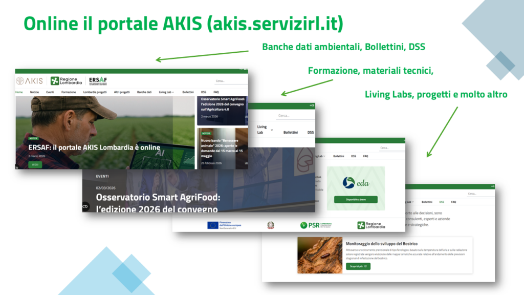 Lancio portale AKIS social