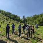 Tecnologie innovative per la gestione sostenibile del cilieg &hellip;