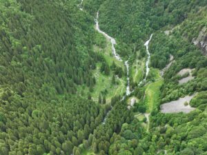 Rapporto stato delle foreste in lombardia