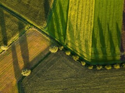 Yulian alexeyev xDLEUTWCZdc unsplash uai